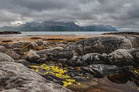 View from Valbergsvein