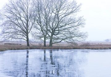 Dwingelderveld - Drenthe (Netherlands) by Marcel Kerdijk