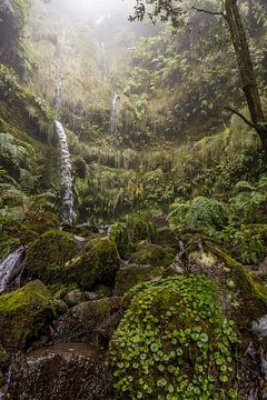 The green waterfalls van Thijs Kupers