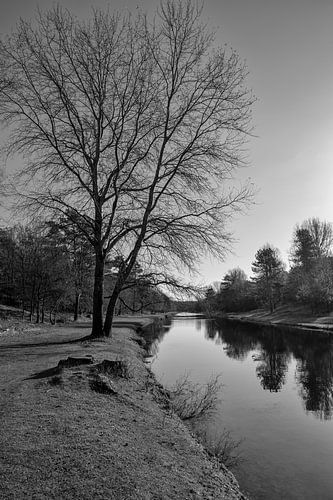 Amsterdamse waterleidingduinen