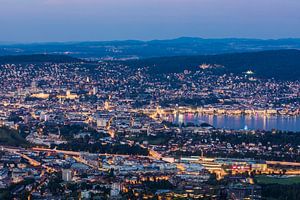 Uitzicht van Uetliberg naar Zürich en 's nachts het meer van Zürich. van Werner Dieterich