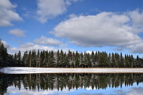 De eerste sneeuw in de herfst