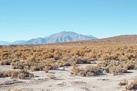 Zoutvlakte, Uyuni Bolivia