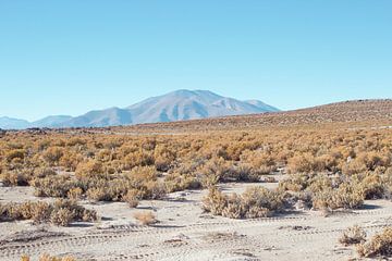 Zoutvlakte, Uyuni Bolivia van Stefanie Lamers