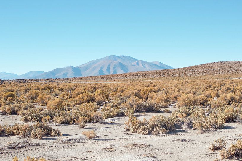 Zoutvlakte, Uyuni Bolivia von Stefanie Lamers
