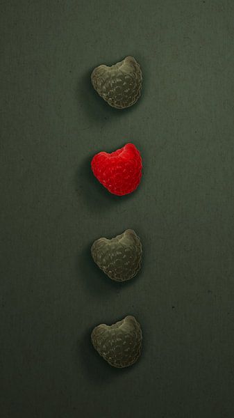 Himbeeren in Reihe - Vertikaler Kontrast von Mixed media vector arts