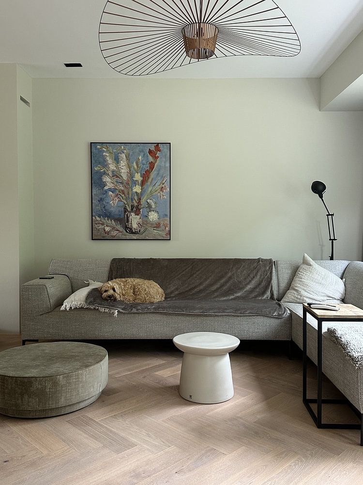 Vase avec glaïeuls de jardin et asters chinois, Vincent van Gogh 