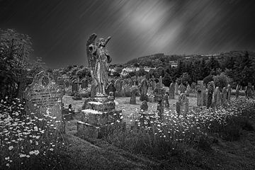 Moretonhampstead van Rob Boon
