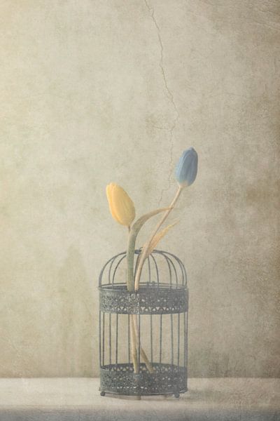 Mais ensemble... par Delphine Devos