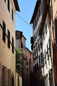 Toskana Italien Lucca Stadtzentrum