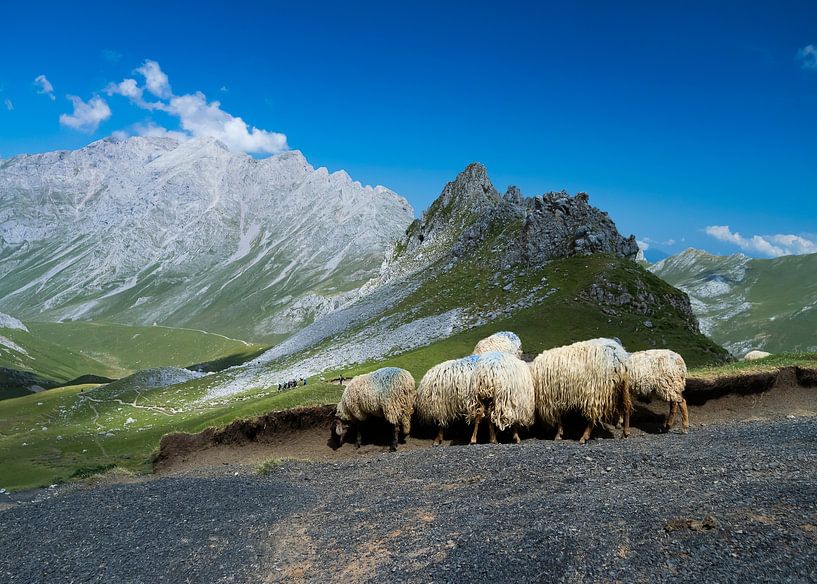 Die Landschaft der Picos de Europa von Willemijn Wolthaus