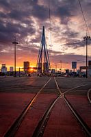 Zonsondergang in Rotterdam