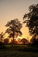 Coucher de soleil à Münster Gievenbeck