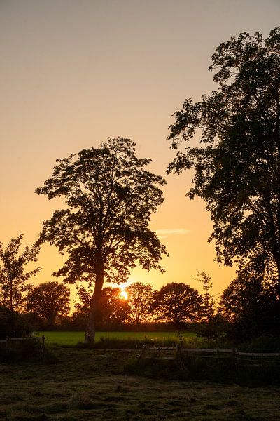 Zonsondergang in Münster Gievenbeck van Thorsten Wind