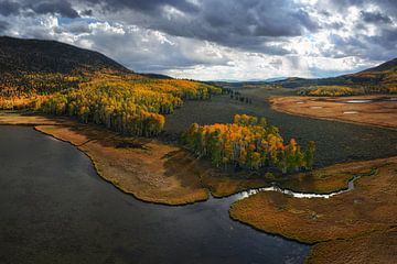 Autumn at the lake by Martin Podt