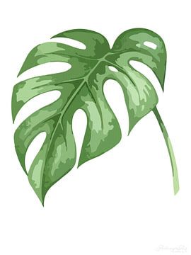 Tijdloze flora: monsterblad in het wit