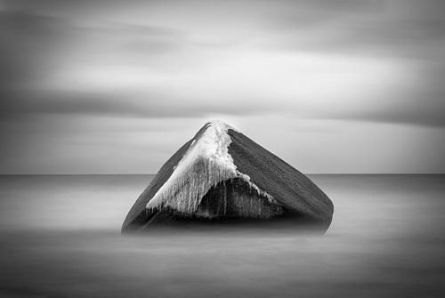 Schwanenstein von Frans van Hoogstraten