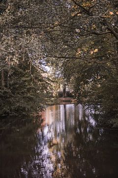 Natuur in herfst sfeer 2