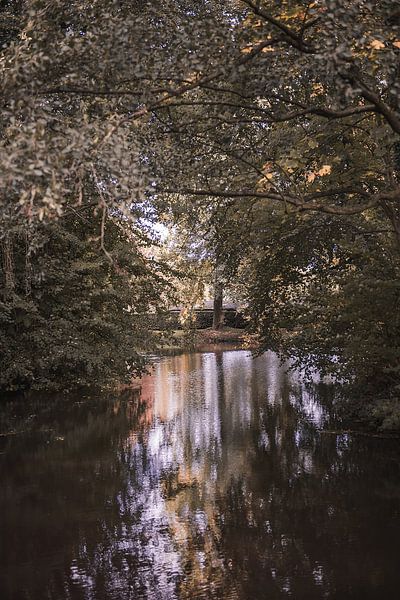 Nature in autumn vibes 2 by Ratna Bosch