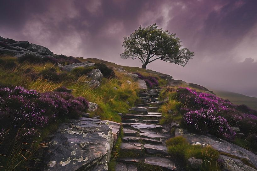 Nebelgeflüster um Baum von fernlichtsicht