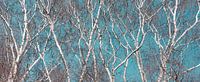 Bouleaux d'hiver enchanteurs : Panorama abstrait détaillé par Henno Drop Aperçu
