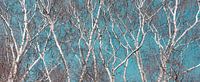 Enchanting Winter Birches: Detailed Abstract Panorama