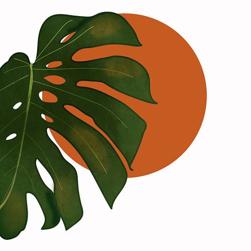 A Monstera leaf bohemian style