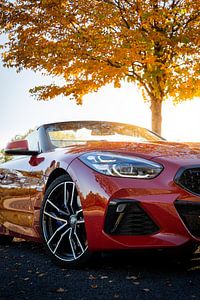 Een BMW Z4 met herfstkleuren