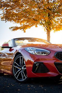 Ein BMW Z4 in Herbstfarben von Pieter van Dieren (pidi.photo)