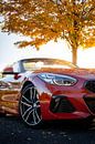 A BMW Z4 with autumn colors by Pieter van Dieren (pidi.photo) thumbnail
