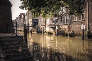 Dordrecht, schöne Stadt in Südholland!