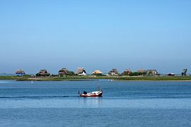 HEILIGENHAFEN Graswarder - das blaue wunder von Bernd Hoyen