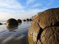 Close-Up of a boulder in Moeraki, New Zealand