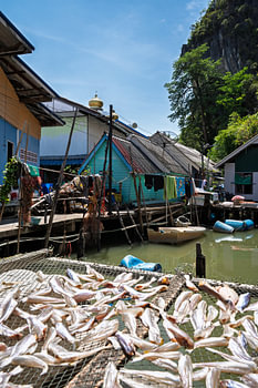 Drying fish, floating village Koh Panyi