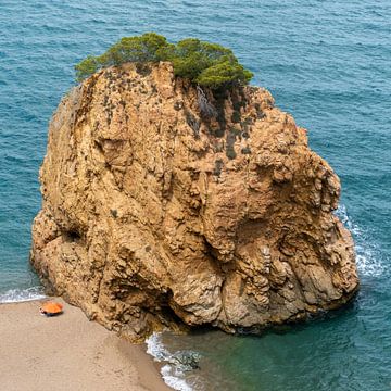 Parasol by the rock on the beach at the water's edge