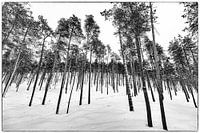 Finlande