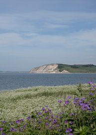 Hanklit, Isle of Mors by Lene Shannon