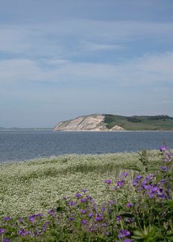 Hanklit, eiland Mors