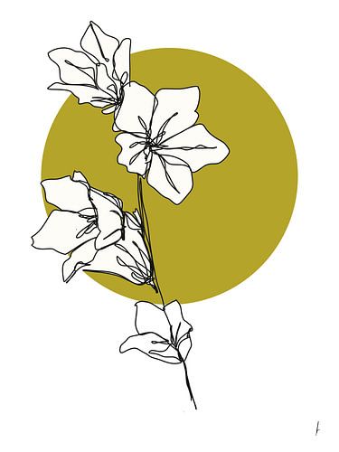 Digital oneline drawing 'Campanula'