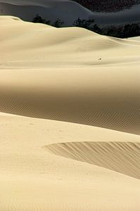 Insel Desert Dunes von Brian Raggatt