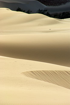 Island Desert Dunes