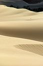 Island Desert Dunes van Brian Raggatt thumbnail