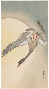 Ohara Koson - Blässgans mit Mond (bearbeitet)