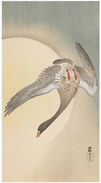 Ohara Koson - Oie blanche avec lune (édité) sur Peter Balan