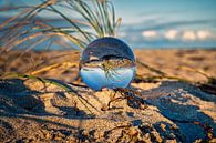 View through the glass ball on the beach. Sea and sky in background by Martin Köbsch thumbnail