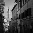 Italien im Quadrat, schwarz-weiß, Toskana von Teun Ruijters Miniaturansicht
