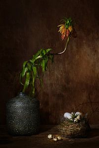 Still life with flower and eggs. van Saskia Dingemans Awarded Photographer
