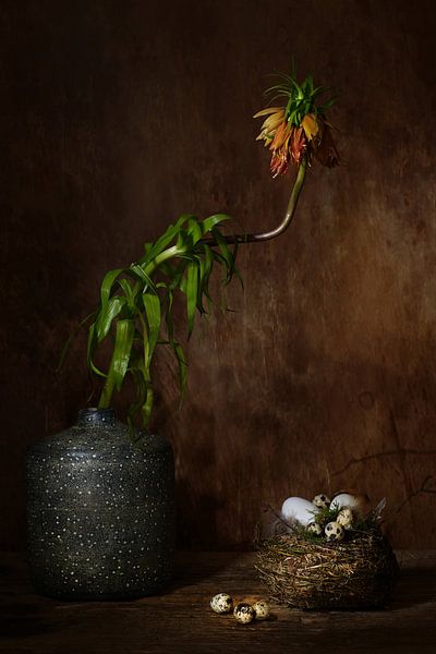 Nature morte avec mon mimosa préféré. par Saskia Dingemans Awarded Photographer