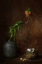 Nature morte avec mon mimosa préféré. par Saskia Dingemans Awarded Photographer Aperçu