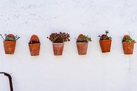 Photographie de voyage Portugal | Nature morte : six pots en terre cuite d'affilée